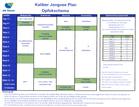 Kaliber Jongvee Plan Opfokschema