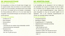 Droogzetfase en Herstelfase